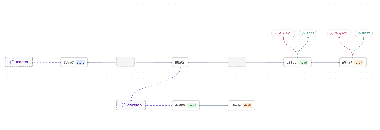 Branch Map — visual overview of branches, revisions, and API endpoints