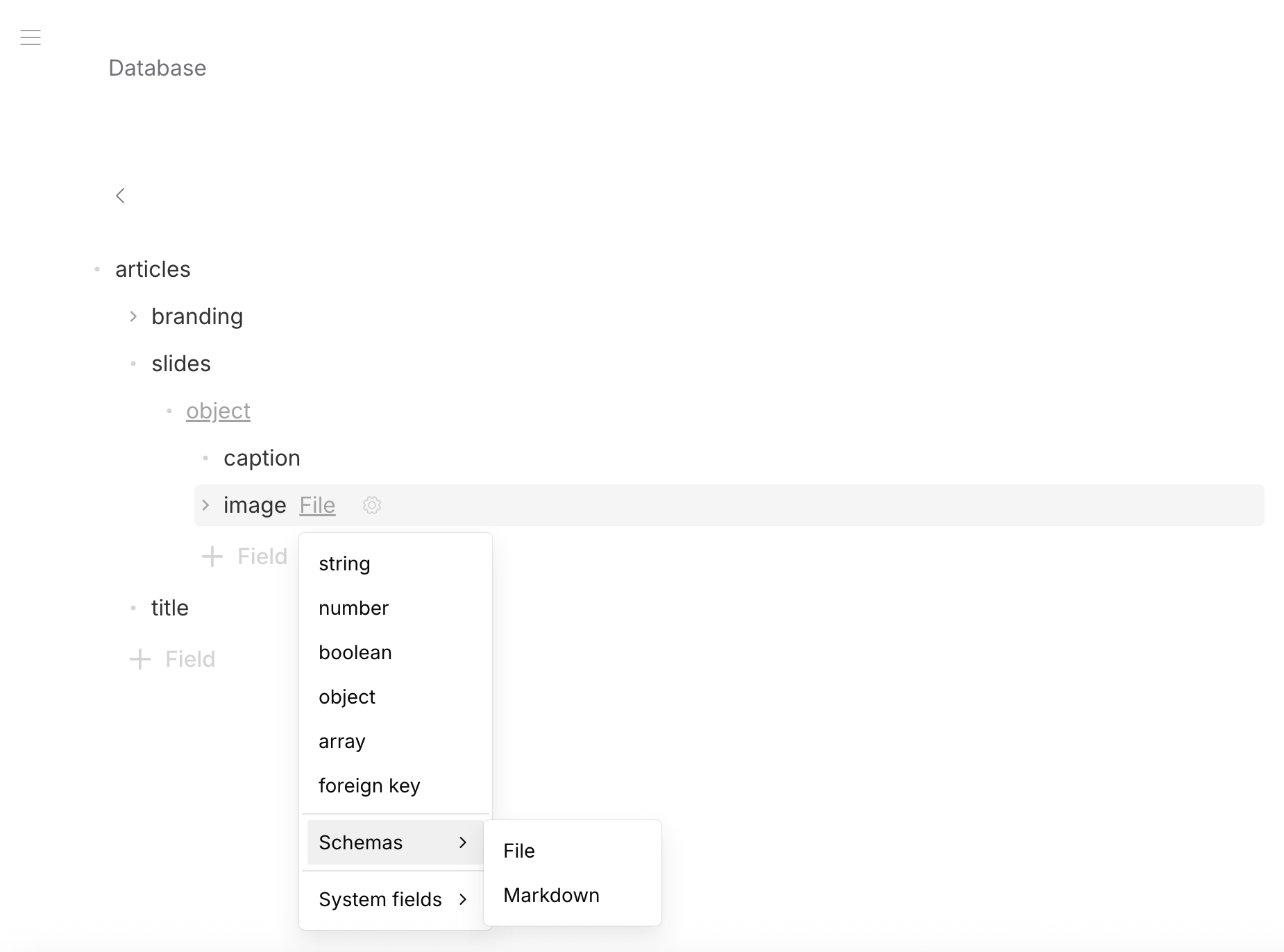 Schema Editor — articles table with File fields in slides array and branding object, Schemas submenu showing File option